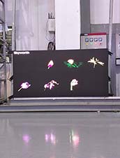 Dotcom led display India project 